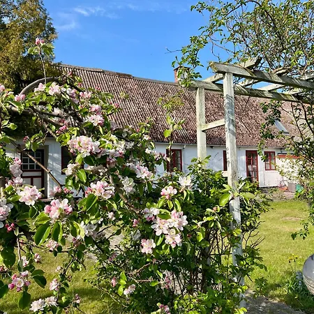 Noorbohandelens - Nyord Bed & Breakfast 3*