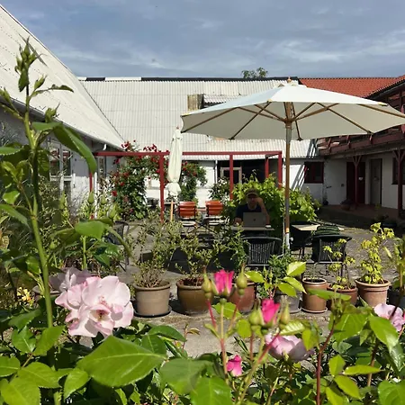 Bed & Breakfast Noorbohandelens - Nyord Stege