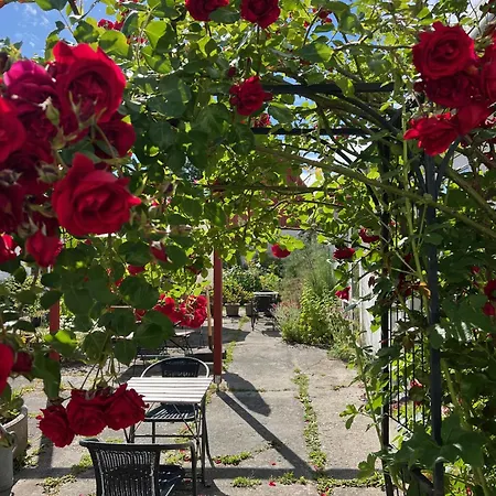Bed & Breakfast Noorbohandelens - Nyord Stege