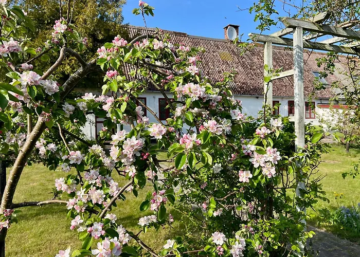 Noorbohandelens Frühstückspension 3*