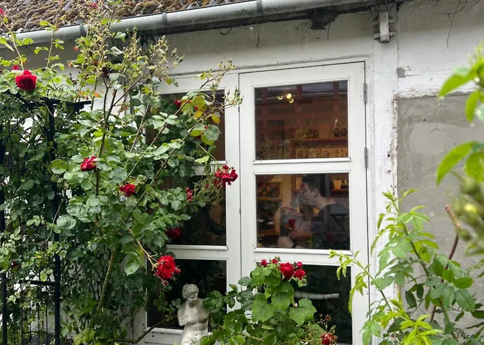 Noorbohandelens Stege